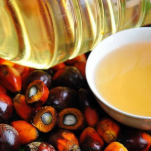 RBD Palmolein Oil